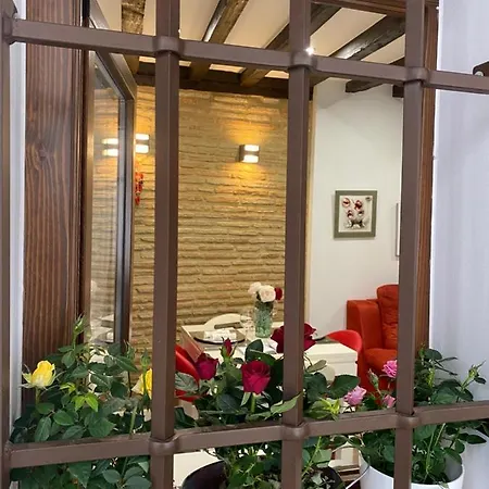 Apartment Don Quijote Toledo